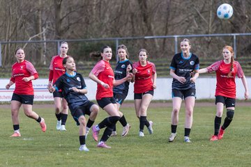 Bild 236 - wBJ VfL Pinneberg - Waldd�rfer SV : Ergebnis: 5:0